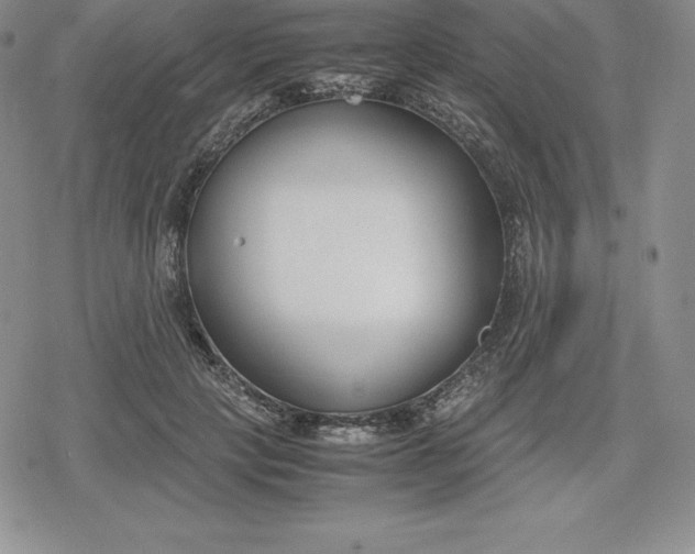 X0000080170649200612221252