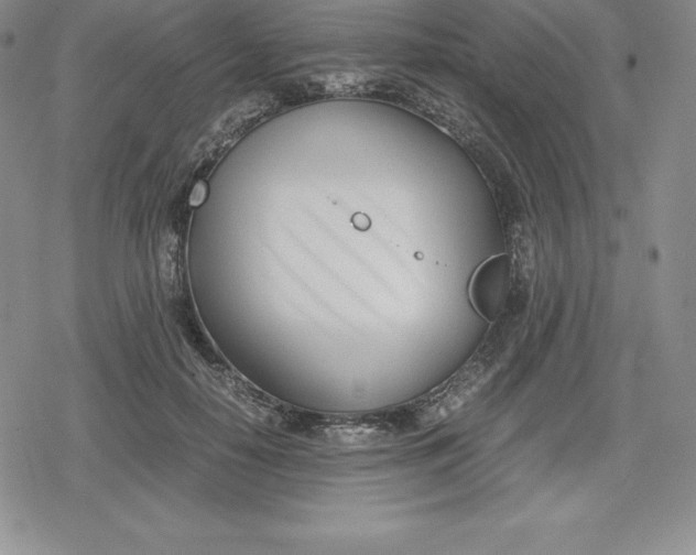 X0000080170650200612221252