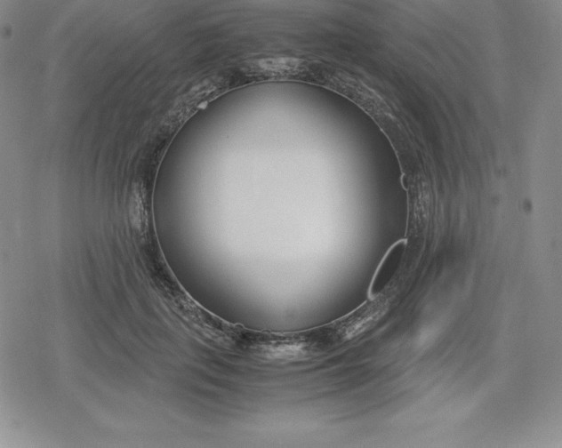 X0000080170651200612221252