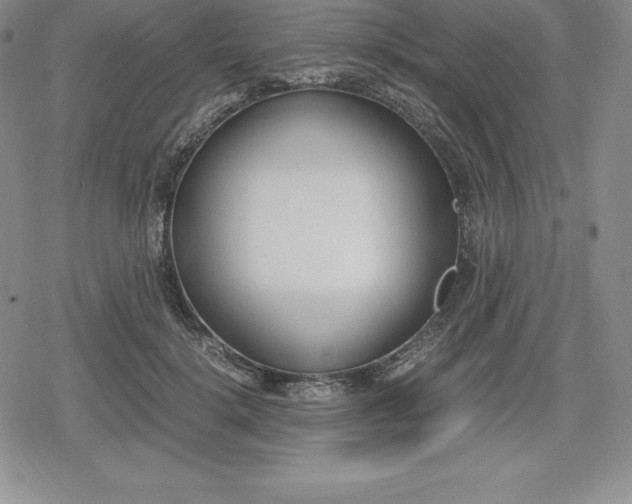 X0000080170652200612221252