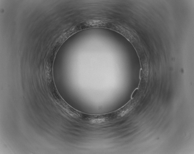 X0000080170653200612221252