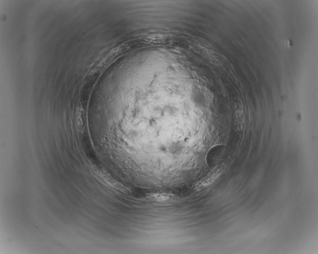 X0000080170654200612221252