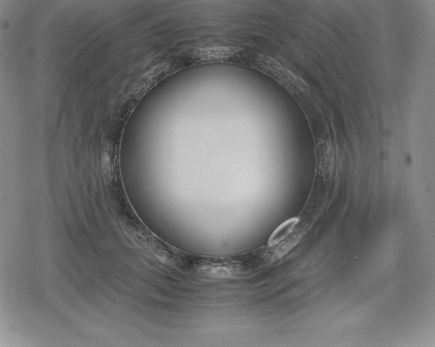 X0000080170655200612221252