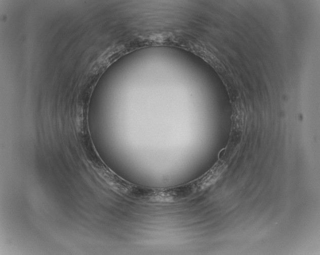 X0000080170656200612221252