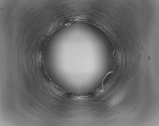 X0000080170657200612221252