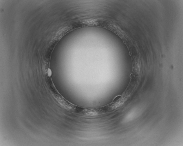 X0000080170658200612221252