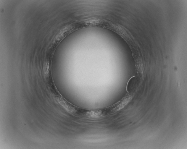 X0000080170660200612221252