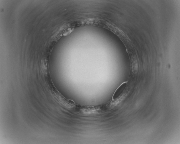 X0000080170661200612221252