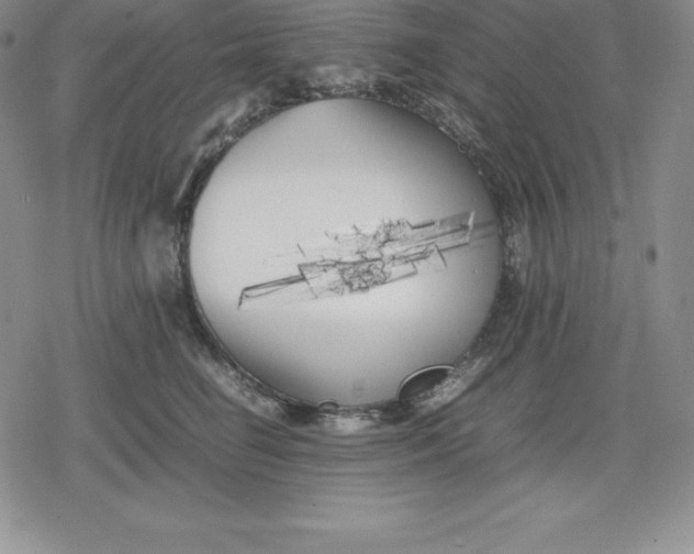 X0000080170662200612221252