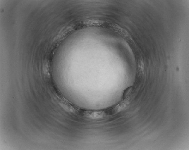 X0000080170663200612221252