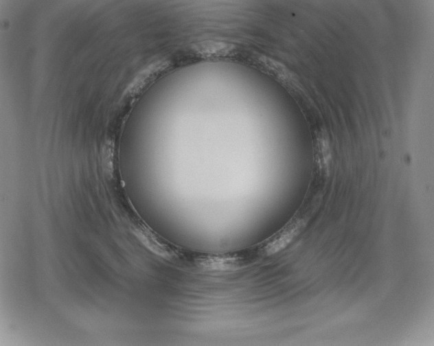 X0000080170664200612221252