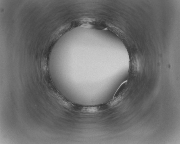 X0000080170665200612221252