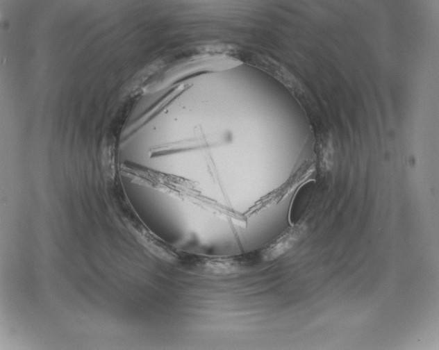 X0000080170666200612221252