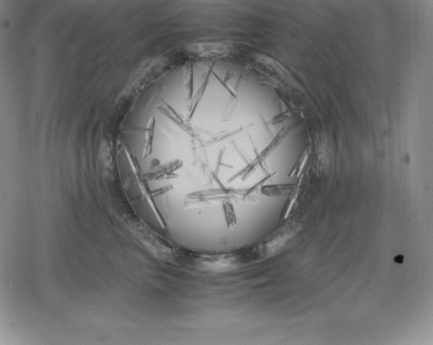 X0000080170667200612221252