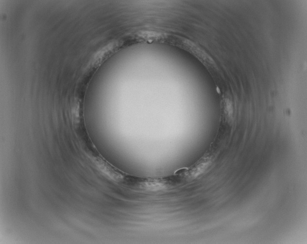 X0000080170668200612221252