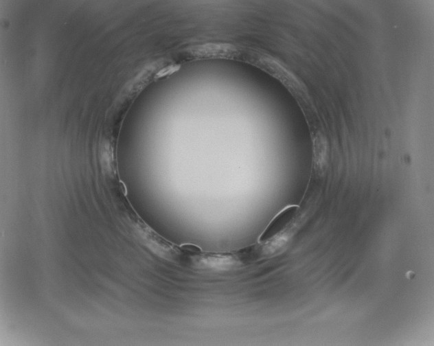 X0000080170669200612221252