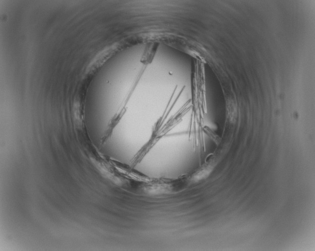 X0000080170670200612221252