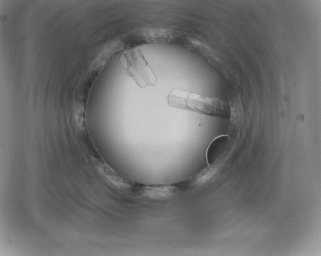 X0000080170671200612221252