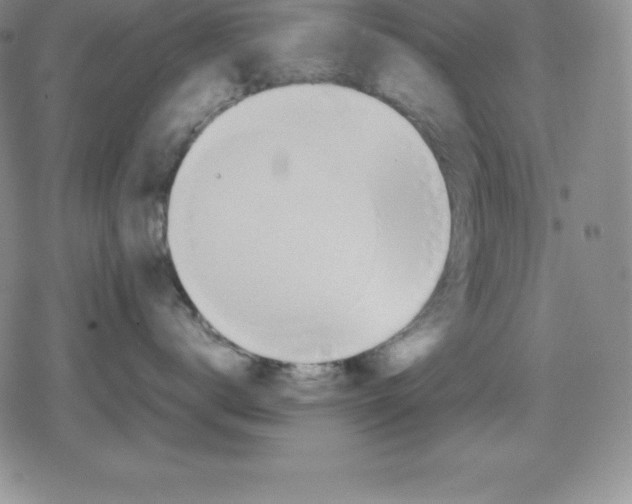 X0000080170672200612221252