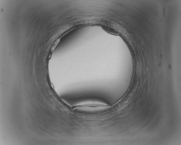 X0000080170673200612221251