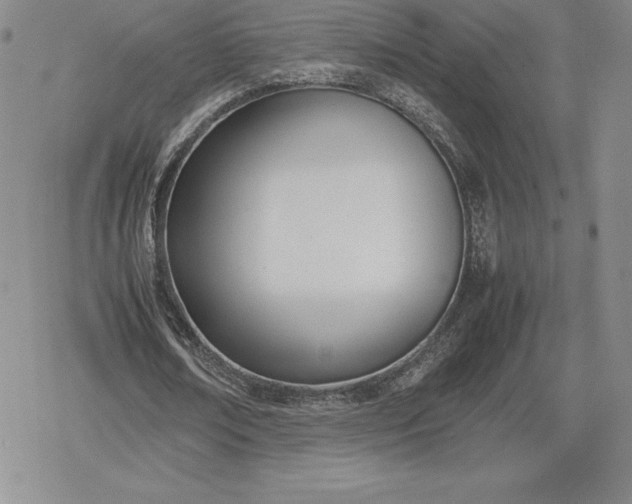 X0000080170674200612221251