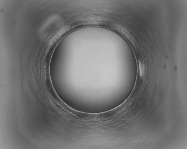 X0000080170675200612221251