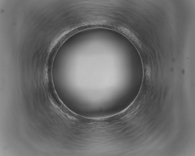 X0000080170676200612221251