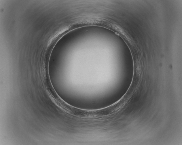 X0000080170677200612221251