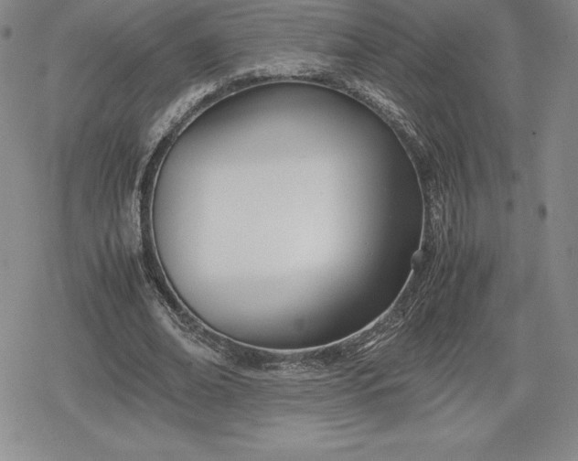 X0000080170678200612221251