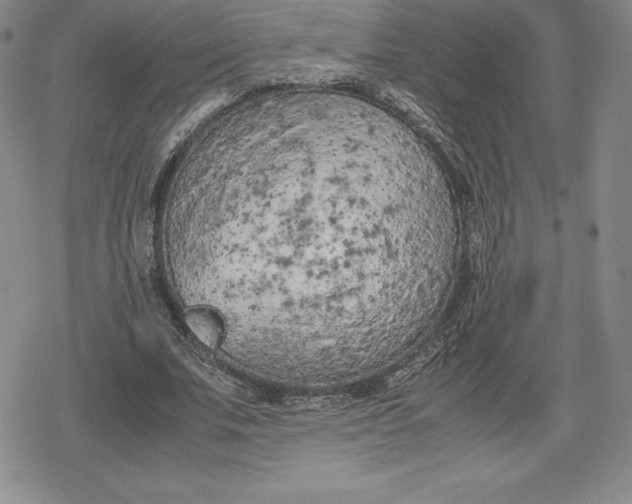 X0000080170679200612221251