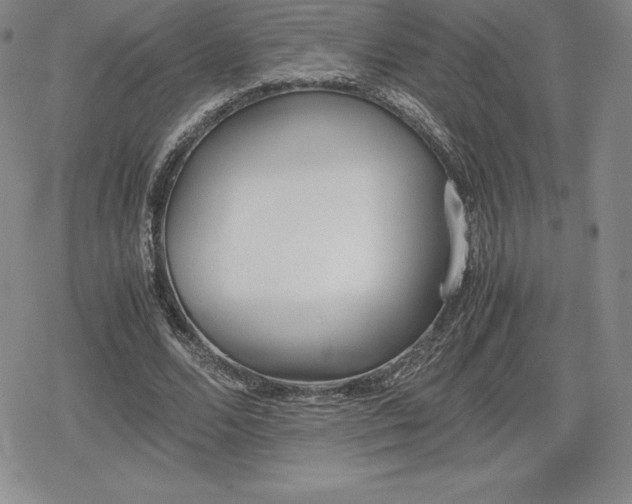 X0000080170680200612221251