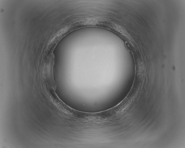 X0000080170681200612221251