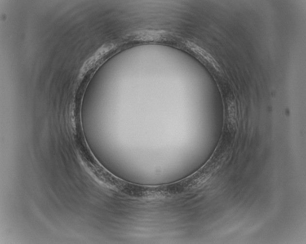 X0000080170682200612221251