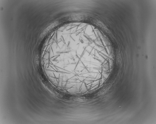 X0000080170683200612221251