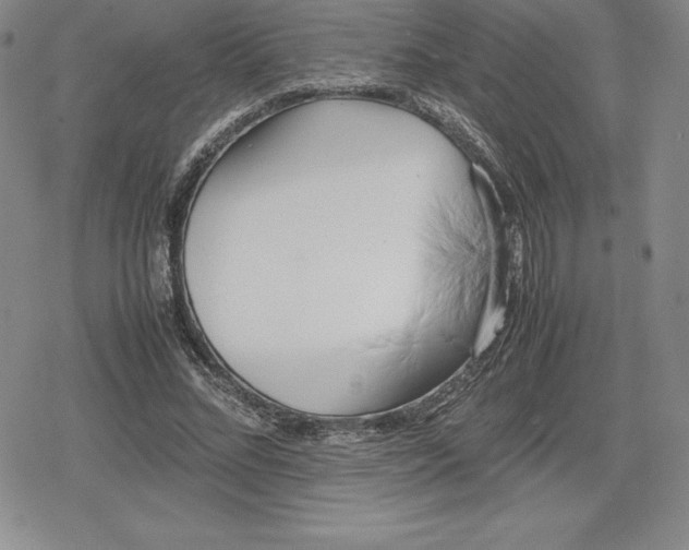 X0000080170684200612221251