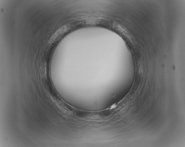 X0000080170685200612221251