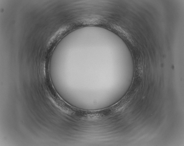 X0000080170686200612221251