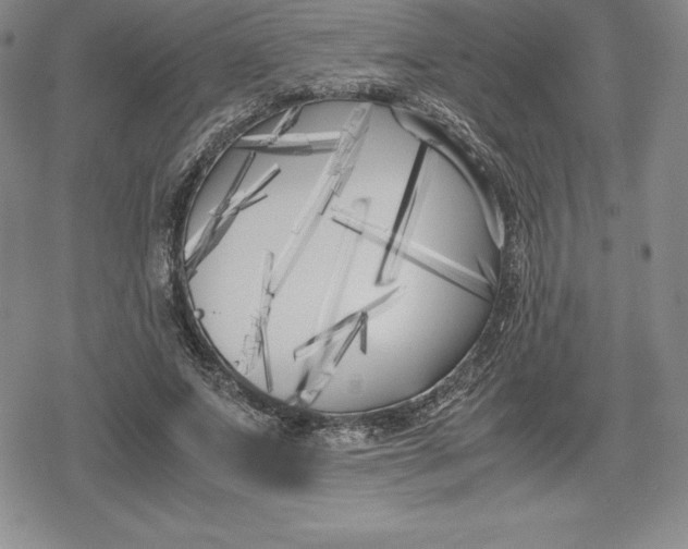 X0000080170687200612221251