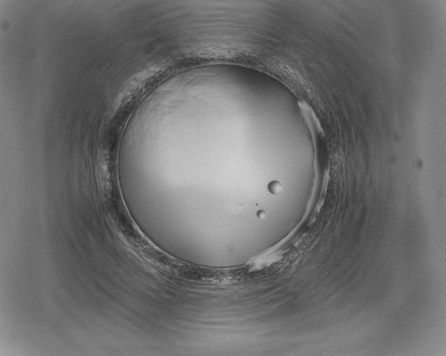 X0000080170688200612221251