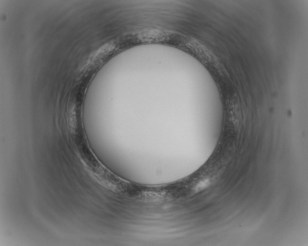 X0000080170690200612221251