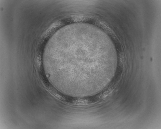 X0000080170691200612221251