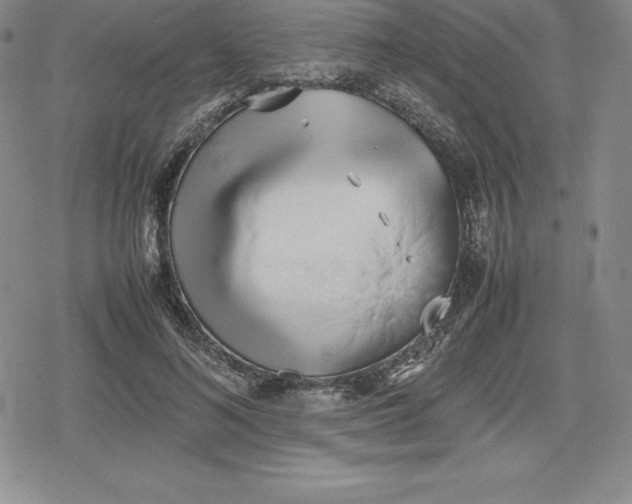 X0000080170692200612221251