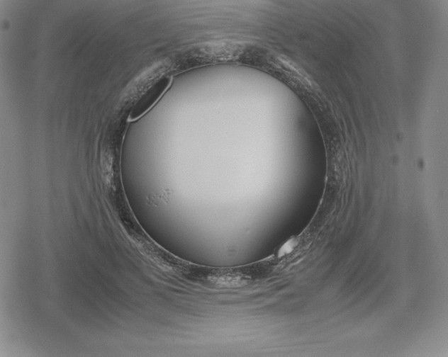 X0000080170693200612221251