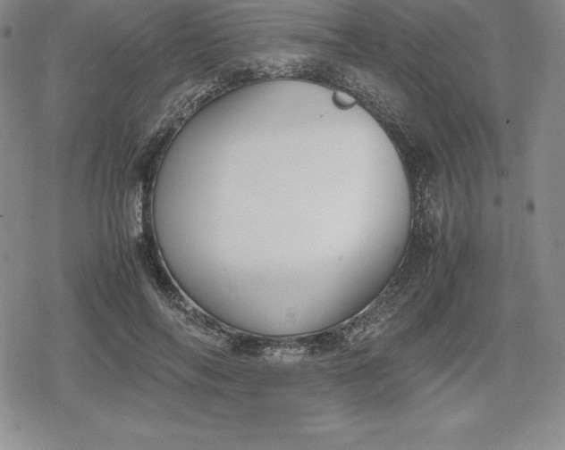 X0000080170694200612221251