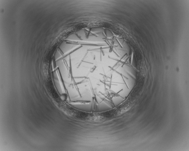 X0000080170695200612221251