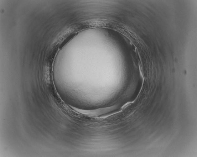 X0000080170696200612221251