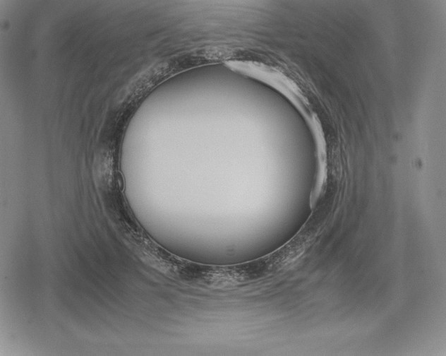 X0000080170697200612221251