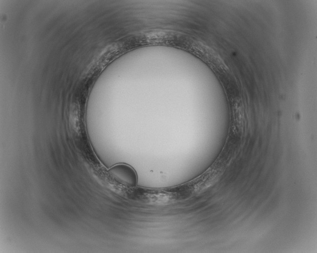 X0000080170698200612221251