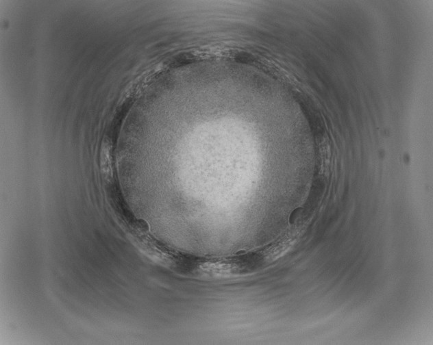 X0000080170699200612221251