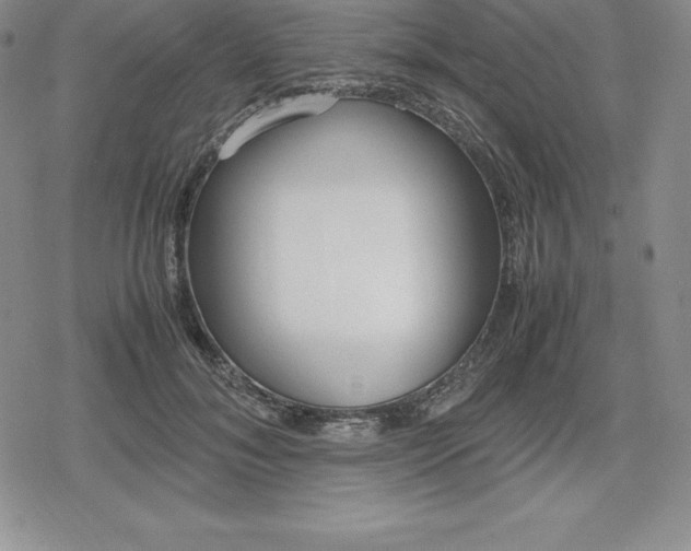 X0000080170700200612221251